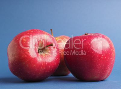 Three fresh red organic apples on a blue studio background