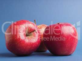 Three fresh red organic apples on a blue studio background