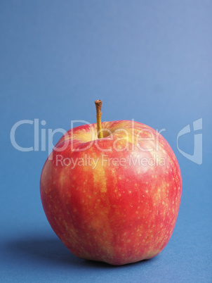 One fresh red organic apple on a blue studio background