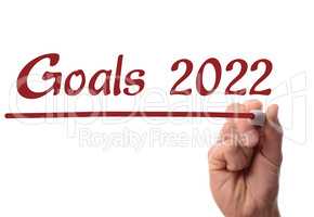 Red pen writing goals 2022