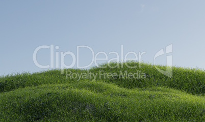 Photorealistic grass hill on a blue sky