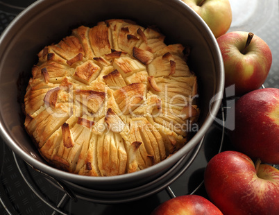 A delicious homemade apple pie in a springform pan with fresh or