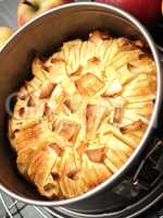 A delicious homemade apple pie in a springform pan with fresh or