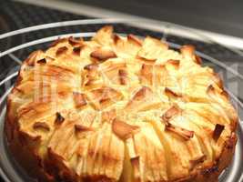 A delicious homemade apple pie with fresh organic apples