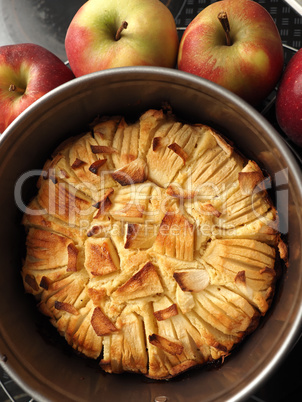 A delicious homemade apple pie in a springform pan with fresh or