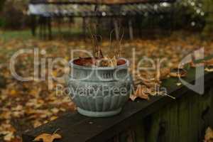 Ceramic pot with plant remains in the garden in autumn