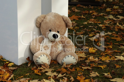 A teddy bear as a decoration for baby shooting