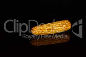 Ripe ears of corn on a black background