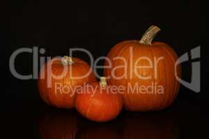 Orange colored pumpkins on a black background