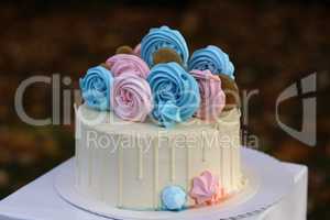 A holiday cake in blue pink colors for a gender revelation party