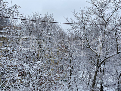 winter in city yard at cloudy day