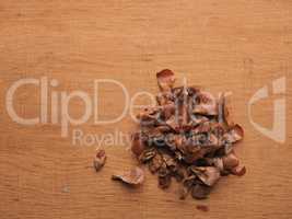 Seeds of a Nordmann fir on a wooden background