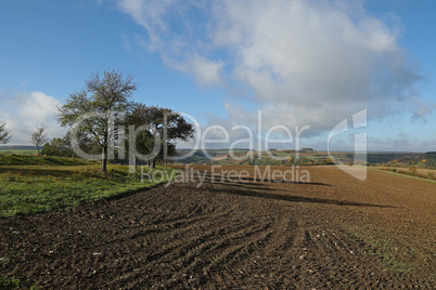 Autumn landscape with fields and meadows on a clear day