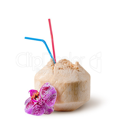 Fresh coconut water drink with orchid flower near