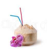 Fresh coconut water drink with orchid flower near