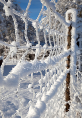 winter landscape