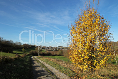 Autumn landscape with fields and meadows on a clear day