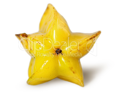 Ripe starfish back view isolated on white