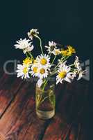 Small bouquet of wild chamomile flowers