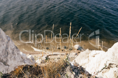 Grass on the edge of cliff