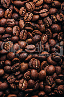 Fresh roasted coffee beans