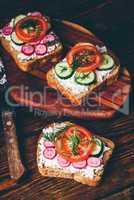 Vegetarian sandwiches with fresh vegetables