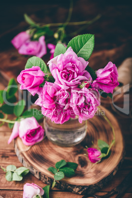 Bouquet of small pink garden roses in jar