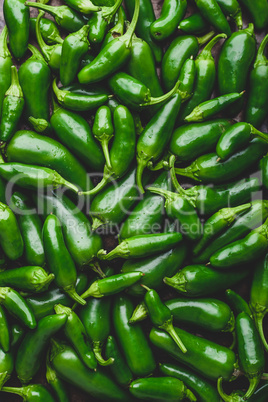 Top View of Green Jalapeno Peppers. Background