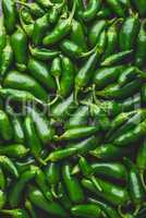 Top View of Green Jalapeno Peppers. Background