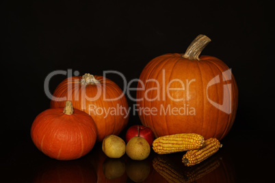 Pumpkins, apples, pears and corn on a black background