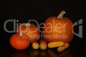 Pumpkins, apples, pears and corn on a black background