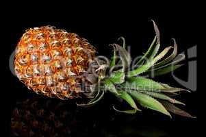 Single whole pineapple with reflection lies isolated on black