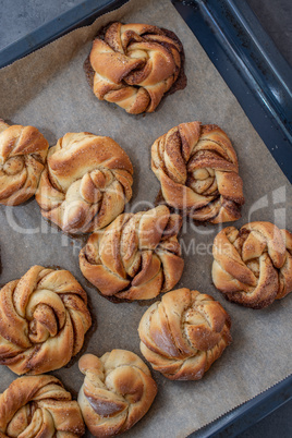 Kürbis Zimtschnecken Knoten