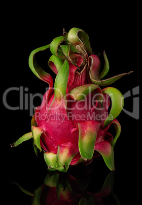 Dragon fruit vertically on a black background