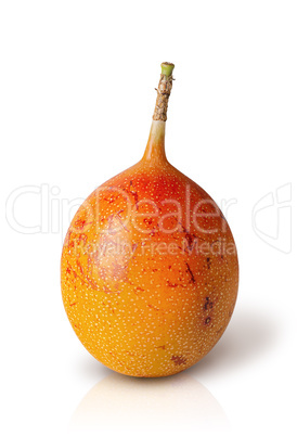 Whole tamarillo vertically isolated on a white