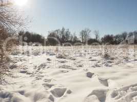 Animal tracks in deep snow,