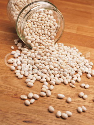 Organic white beans in a canning jar on a kitchen table