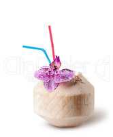 Fresh coconut water drink with orchid flower