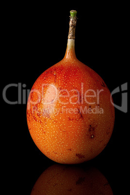 Whole tamarillo vertically with reflection isolated on black