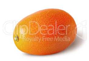 Single ripe kumquat isolated on a white
