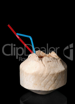 Young coconut isolated on a black background