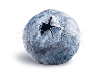 Single blueberry berry isolated on a white