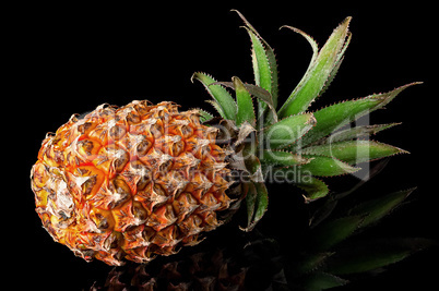 Single whole pineapple with reflection lies rotated