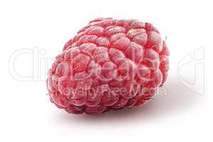 Single raspberry berry rotated isolated on white