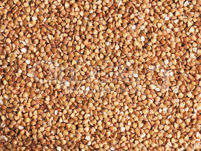 Texture of organic buckwheat as background