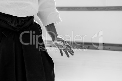 Man practicing aikido in a dojo background.