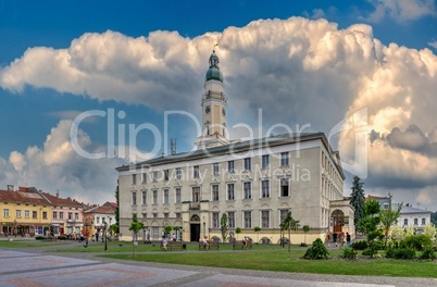 Town Hall in Drohobych, Ukraine