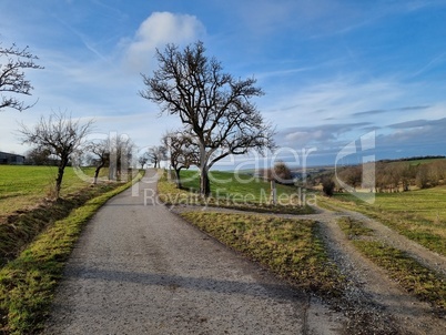 Winter landscape without snow on a sunny day