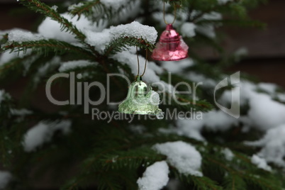 Christmas toys on a tree in the forest