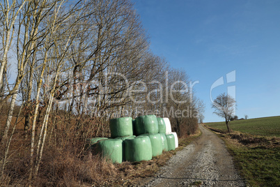 Landscape with hay rolls near the road